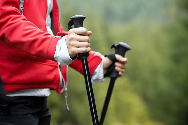 Trekking Poles